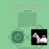 n.10 - Al Jazira Arabians

