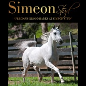 n.33 - Simeon Stud Precious Broodmares at Simeon Stud
