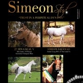 n.34 - Simeon Stud
