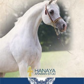 Special Edition - Hanaya Hayek