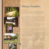 n.38 - Sham Stables