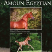 Special Edition 2017 - Amoun Egyptian Arabians