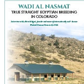 Special Edition 2019 - Wadi Al Nasmat
