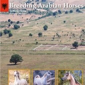 n.49/2020 - Breeding Arabian Horse in Albania