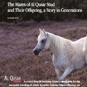 n.58/2022 - The mares of Al Qusar Stud