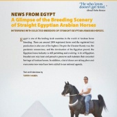 n.64/2024 - News from Egypt 