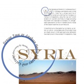 n.11 - Syria
