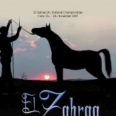 n.12 - El Zahraa
