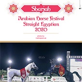 n.51/2021 - Sharjah Arabian Horse Festival