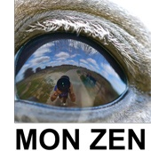 n.29 - Mon Zen Tzen