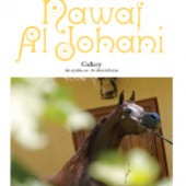 n.32 - Nawaf Al Johani gallery