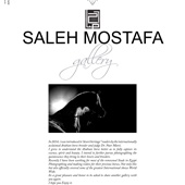 n.36 - Saleh Mostafa Gallery