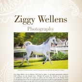 n.37 - Ziggy Wellens Photography