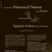 n.12 - Historical Names
