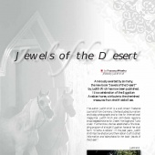 n.13 - Jewels of the Desert
