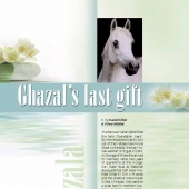 n.14 - Ghazala
