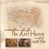 n.14 - Asil Horse and Iran
