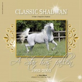 n.16 - Classic Shadwan
