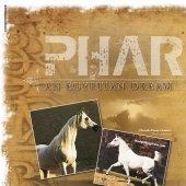 n.20 - Pharrah
