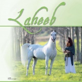 n.21 - Laheeb
