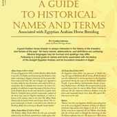 n.30 - Historical guide