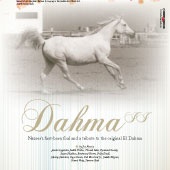 n.35 - Dahma II