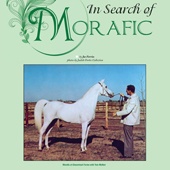 n.36 - In search of Morafic