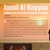 Special Edition 2017 - Jamil Al Rayyan