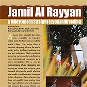 n.47/2019 - Jamil AL Rayyan