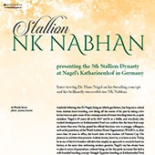 n.48/2020 - NK Nabhan