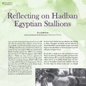n.59/2022 - Reflecting on Hadban Egyptian Stallions