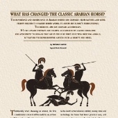 n.60/2023 - What has changed the classic Arabian Horse
